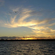 Hauraki