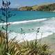 tawharanui thumb
